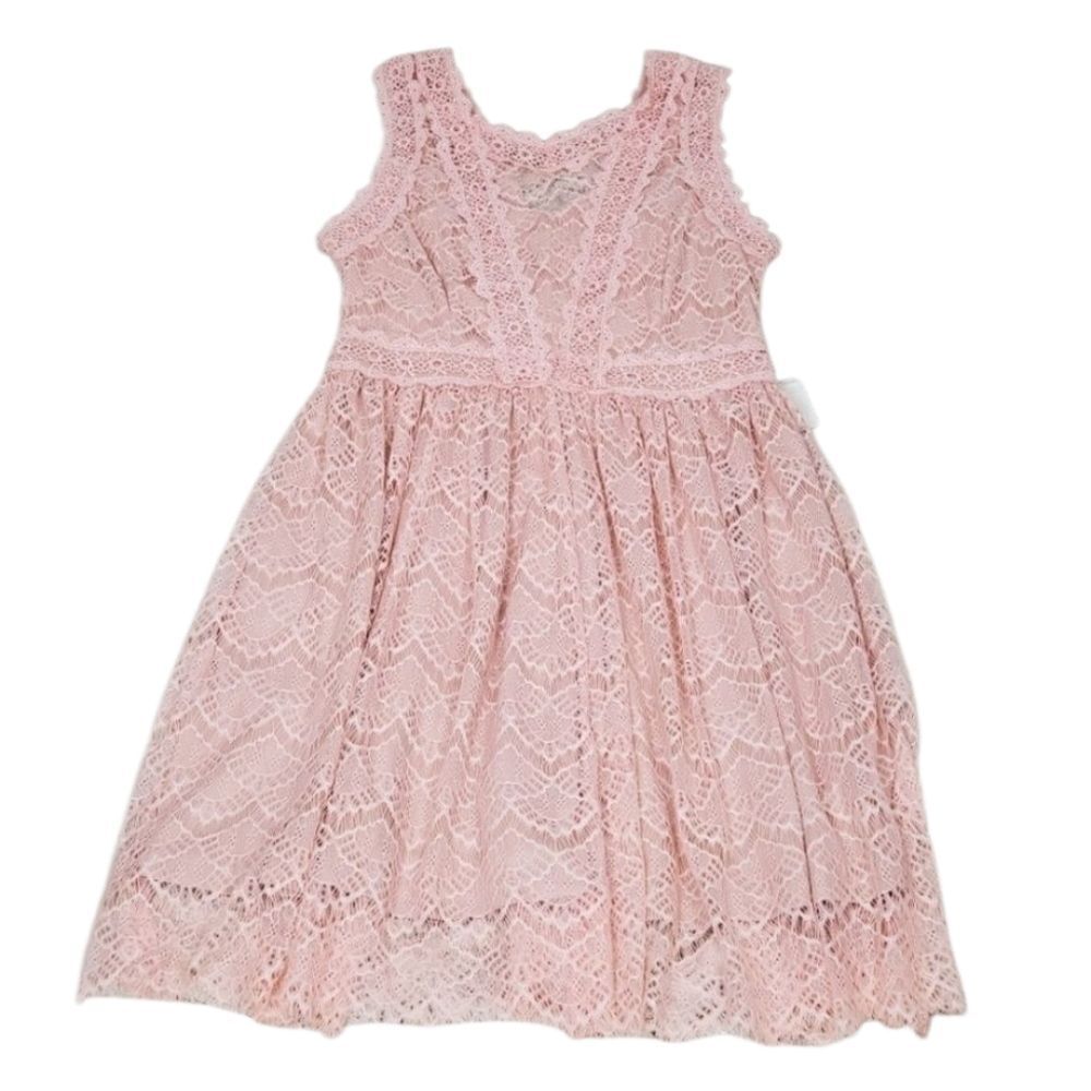 Women's Flare Dress Lace Color Pink Cocktail Formal Dress By Niki Biki